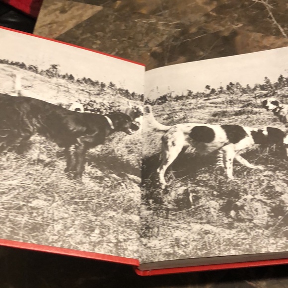 A pair of Dog Training Books by Richard A. Wolters - Picture 5 of 6